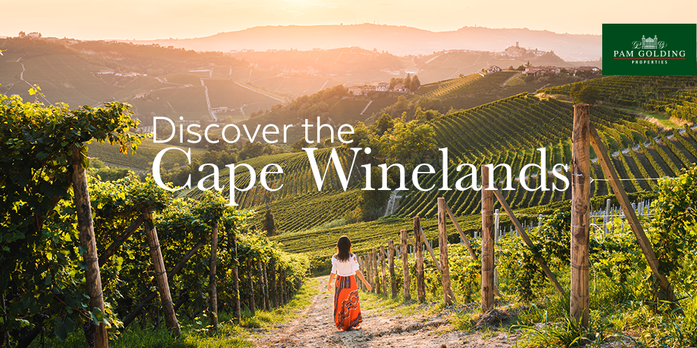 Things to do in the Cape Winelands this holiday Things to do in the Cape Winelands this holiday