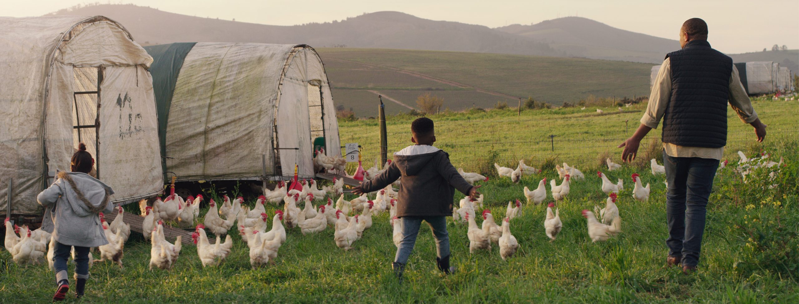 Sustainable living driving purchases of agricultural properties Sustainable living driving purchases of agricultural properties