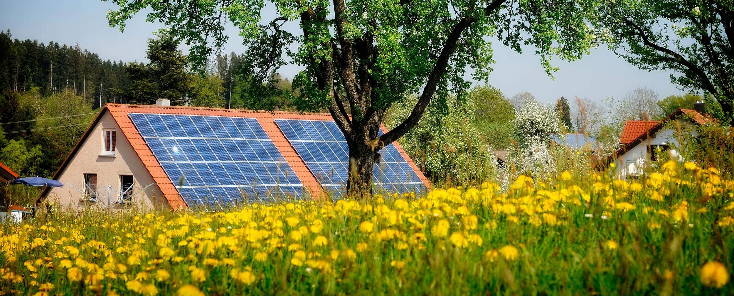 Small gardens desired by eco-buyers Small gardens desired by eco-buyers