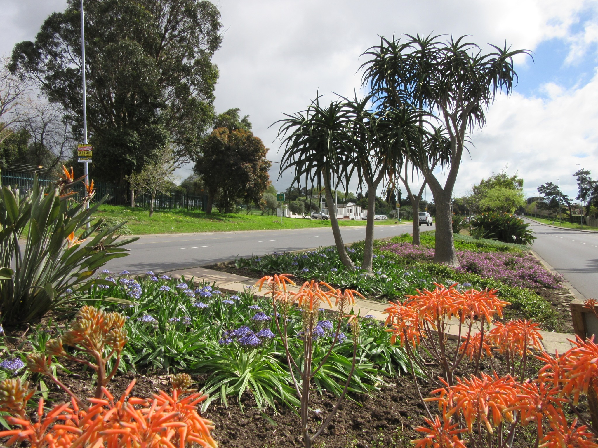 Transforming Durbanville Transforming Durbanville