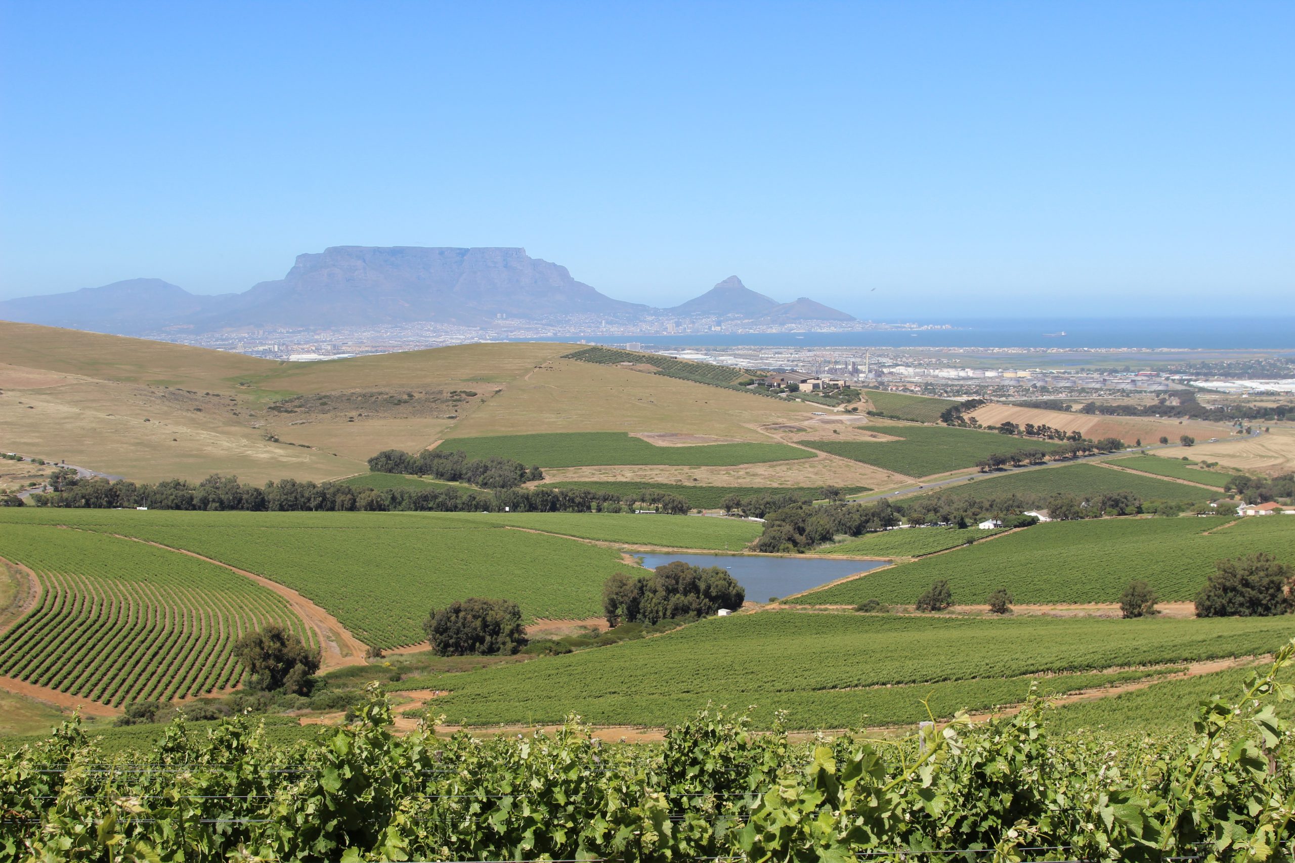 A Timeless Legacy of Passion and Dedication A Timeless Legacy of Passion and Dedication