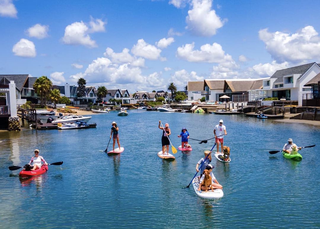 What’s been happening in St Francis over the last 6 months? What’s been happening in St Francis over the last 6 months?