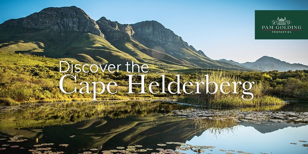 Unique Experiences in the Cape Helderberg This Holiday Season Unique Experiences in the Cape Helderberg This Holiday Season