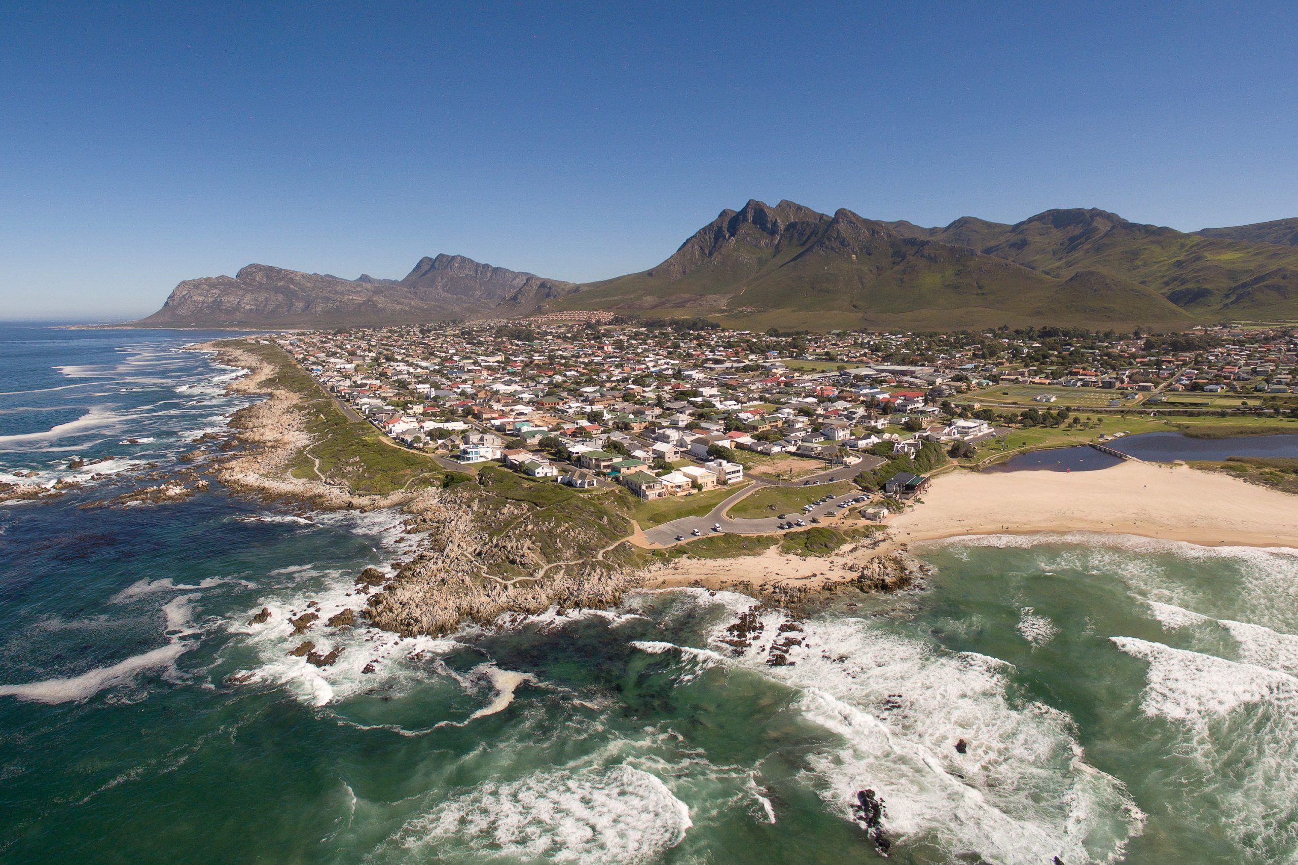 Working from home? Make the Whale Coast your new “office” Working from home? Make the Whale Coast your new “office”