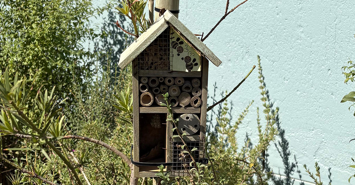 Sometimes, the smallest structures carry the biggest ideas 