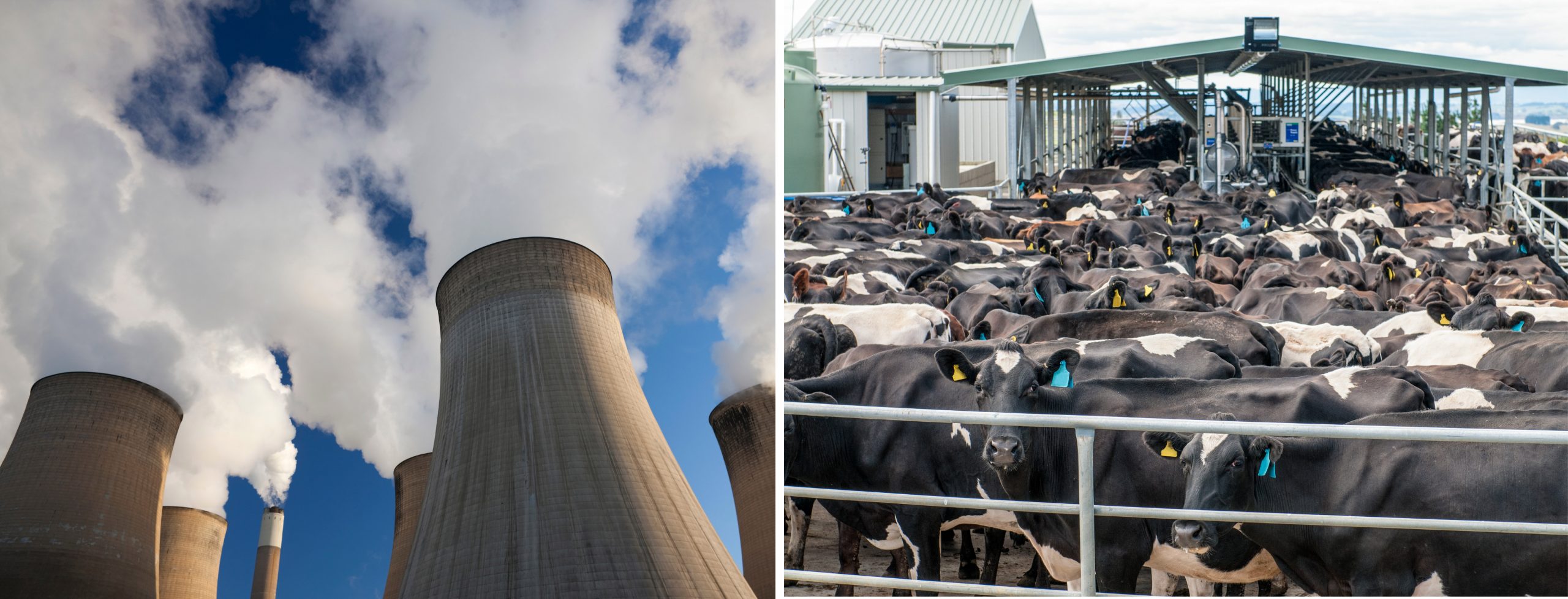 Race to carbon-neutral – spotlight on New Zealand and South Africa’s gas emissions Race to carbon-neutral – spotlight on New Zealand and South Africa’s gas emissions