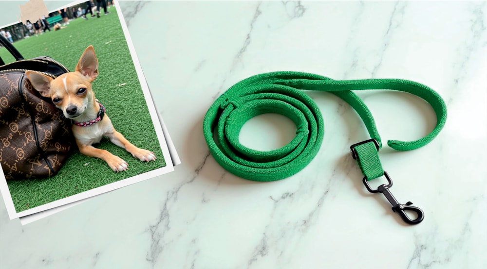 The local dog park is where Joburg&rsquo;s true hierarchies are laid bare, leash in hand &ndash; as much a&nbsp;parade of privilege as it is a tangle of tails&hellip;
Forget Sandton soir&eacute;es and Saxonwold sundowners, the real action around these parts is on the grass, where status is measured in breeds, accessories, and who sniffs whom first....