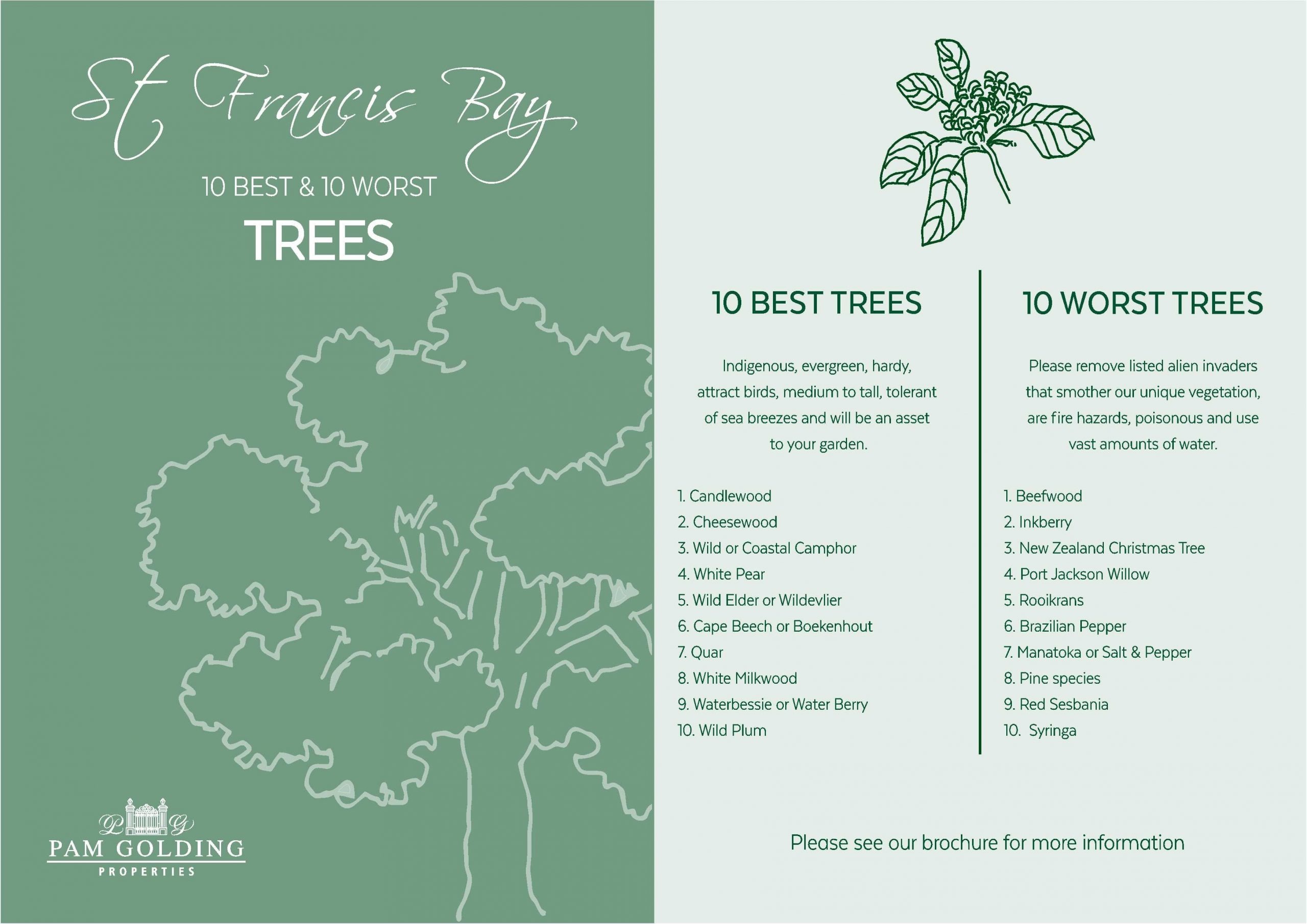 10 Best and 10 Worst Trees for St Francis Bay 10 Best and 10 Worst Trees for St Francis Bay