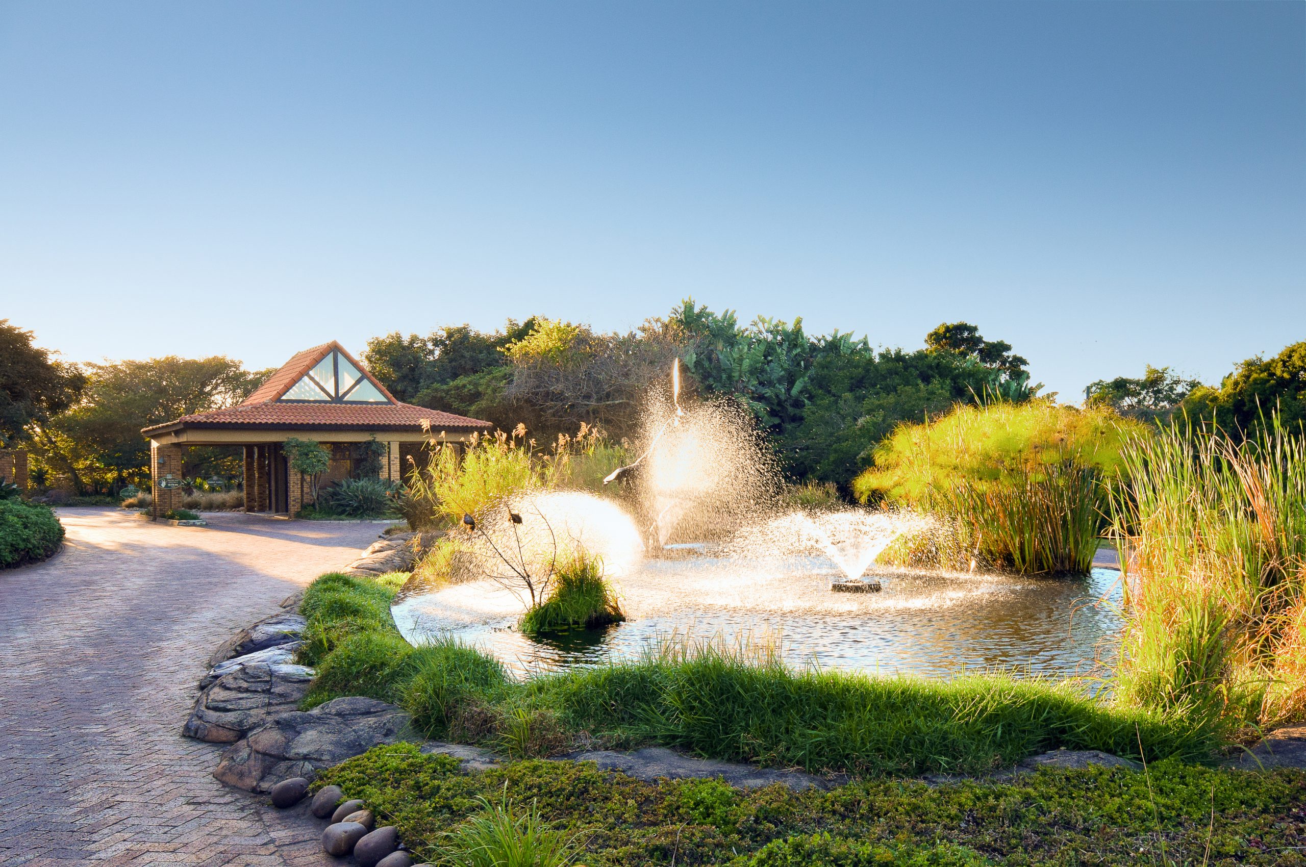 ZIMBALI – Market resilience in a Covid-19 challenged economy ZIMBALI – Market resilience in a Covid-19 challenged economy