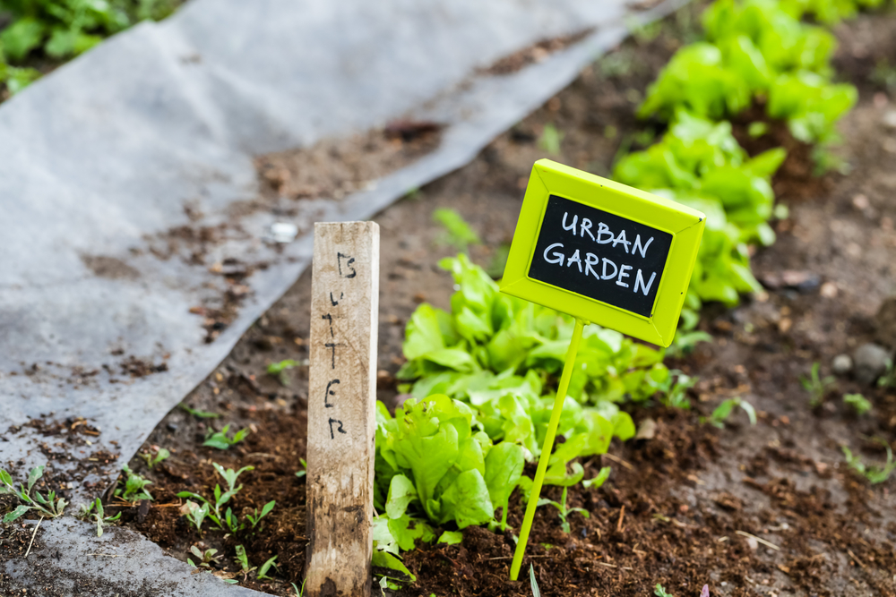 From the garden crate to your plate – why we love the urban farming concept From the garden crate to your plate – why we love the urban farming concept