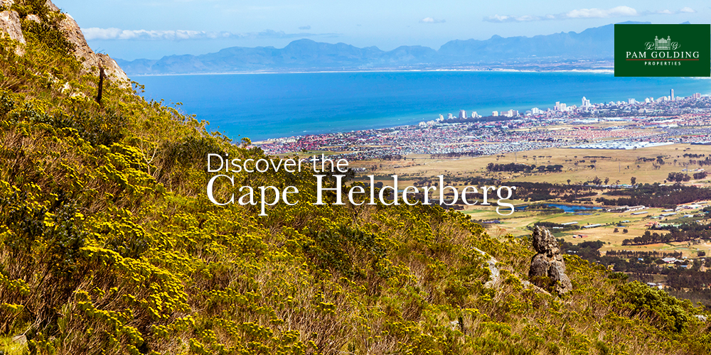 DISCOVER THE SECRET OF THE HELDERBERG DISCOVER THE SECRET OF THE HELDERBERG