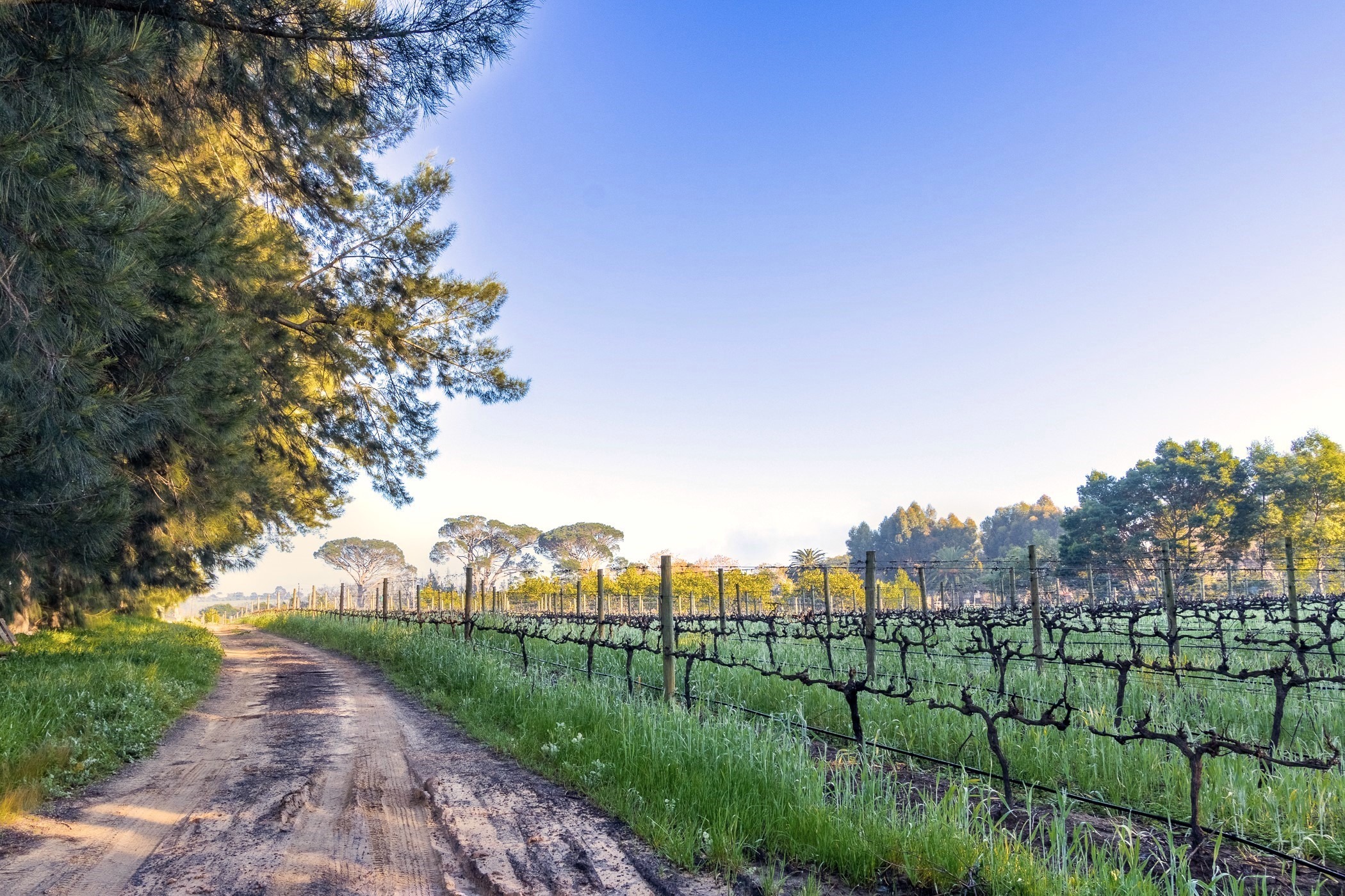 Views of the 27ha farm in Val de Vie estate in Paarl, which is marketed by Pam Golding Properties at R70 million and is ideal for use as a lifestyle farm. Views of the 27ha farm in Val de Vie estate in Paarl, which is marketed by Pam Golding Properties at R70 million and is ideal for use as a lifestyle farm.