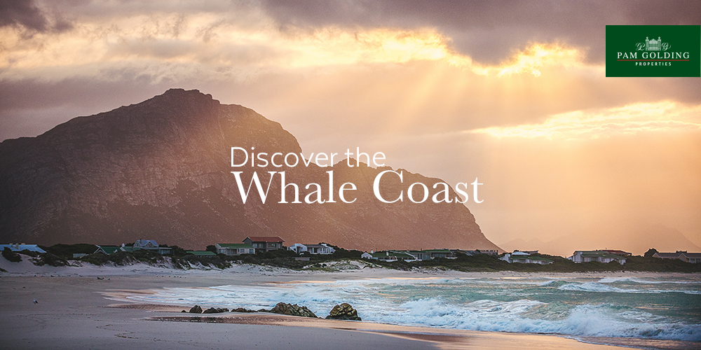 DISCOVER THE HIDDEN GEMS OF THE WHALE COAST DISCOVER THE HIDDEN GEMS OF THE WHALE COAST