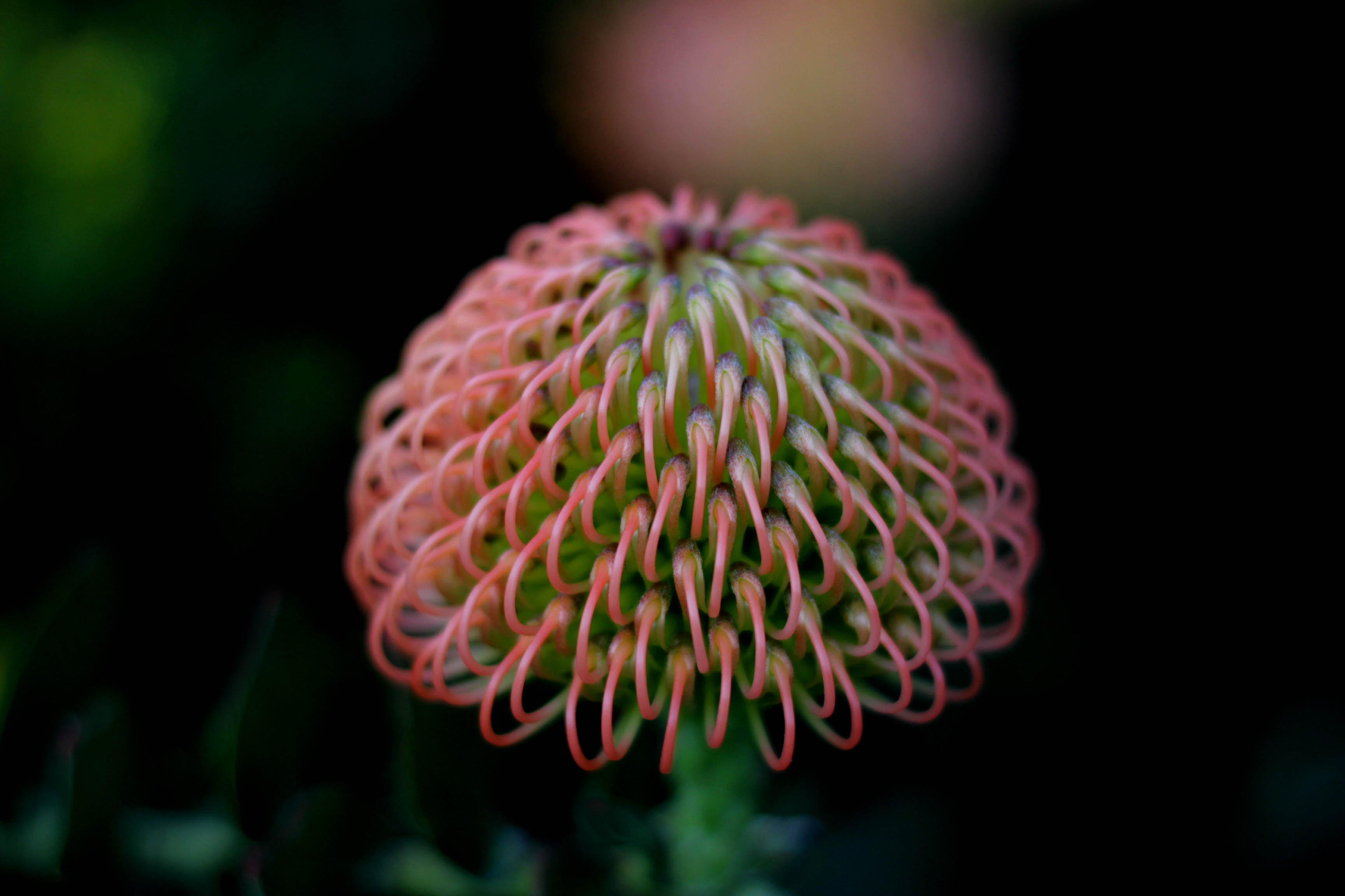 Your exclusive guide to biodiversity gardening Your exclusive guide to biodiversity gardening