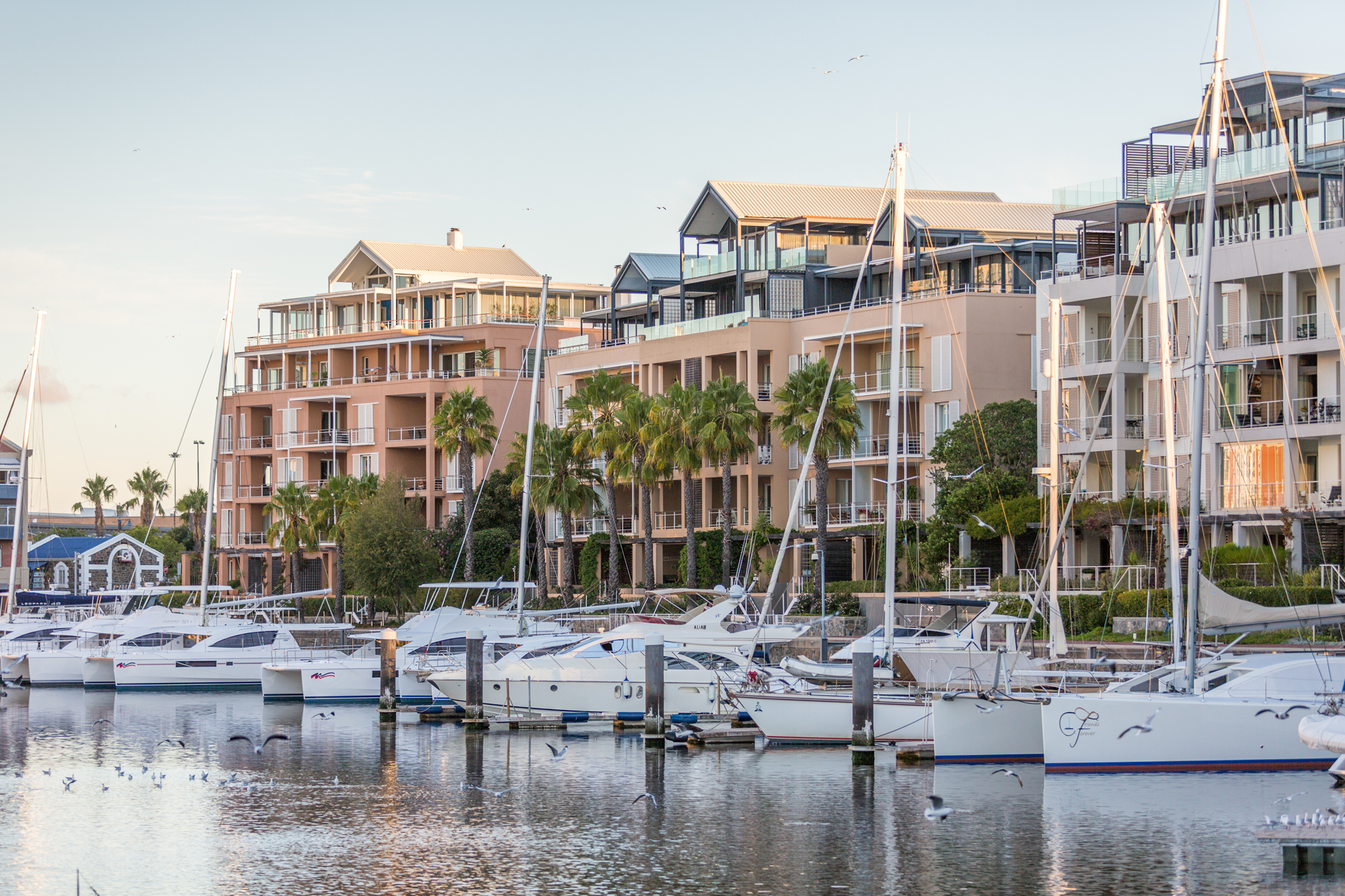 Opportunity awaits in the Waterfront and Mouille Point areas Opportunity awaits in the Waterfront and Mouille Point areas