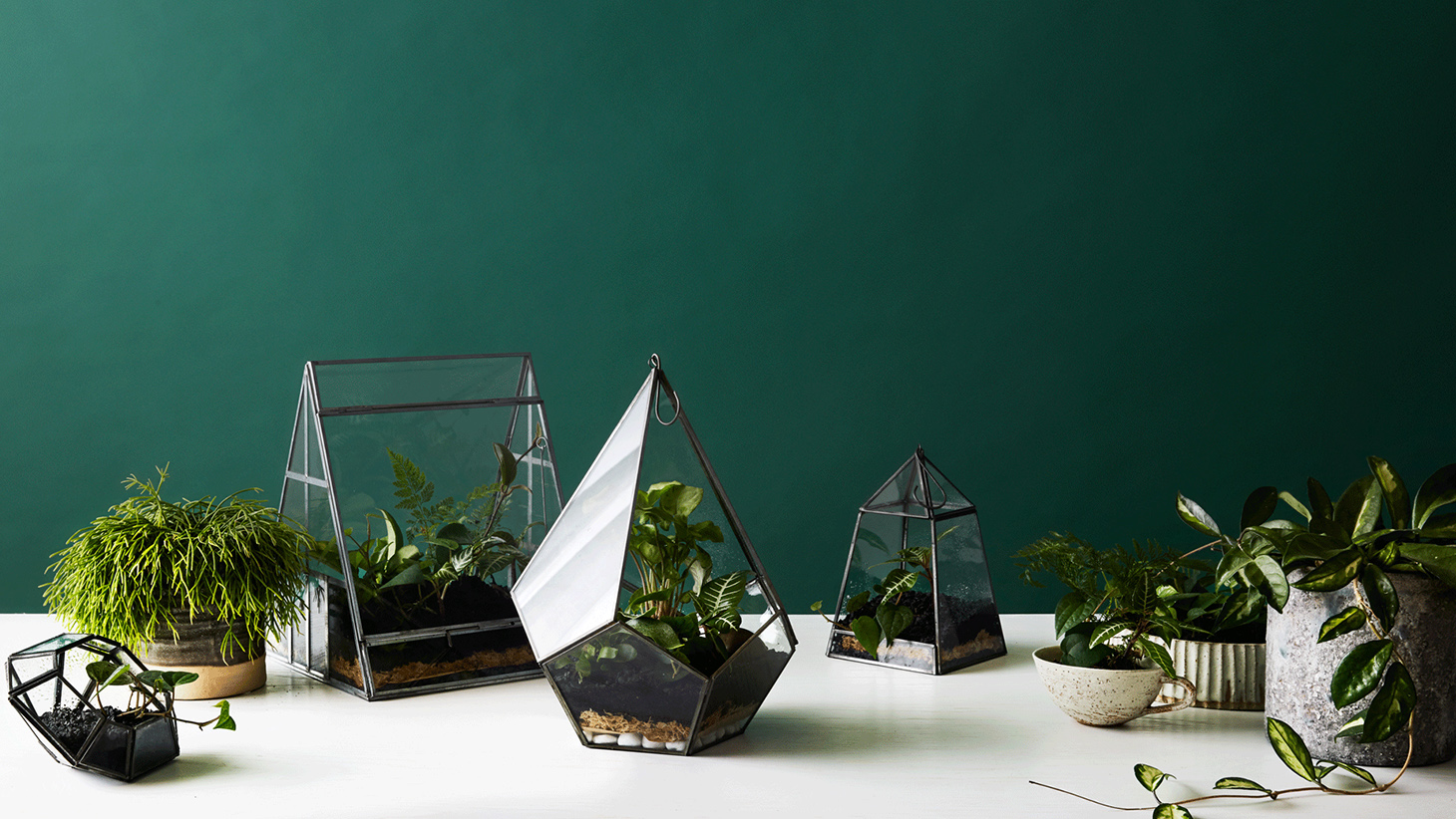 VIDEO: How to build the ultimate indoor garden for summer VIDEO: How to build the ultimate indoor garden for summer