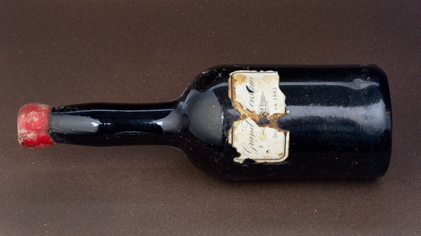 A homecoming of a regal kind A homecoming of a regal kind