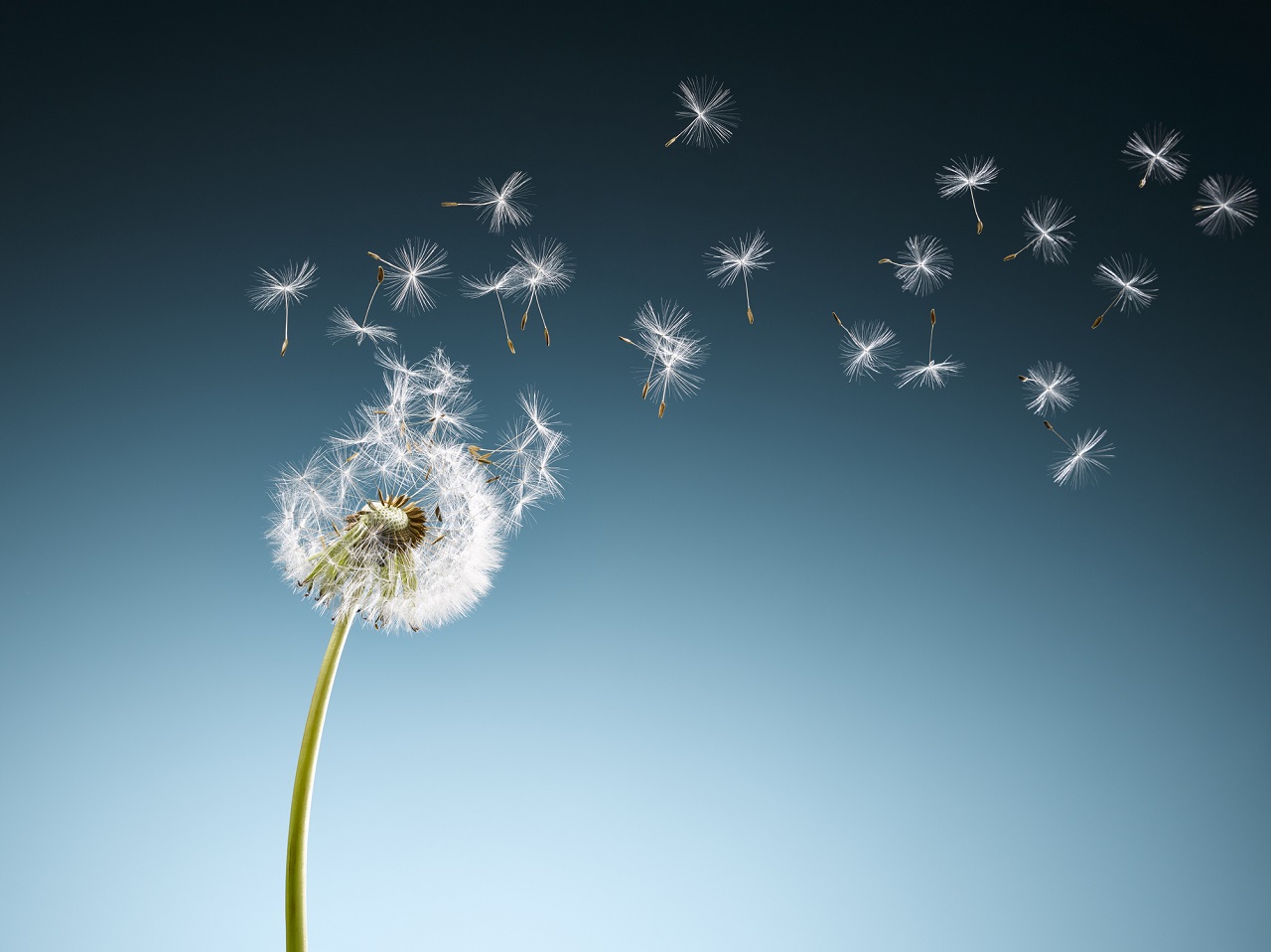 HOPE FOR FINANCIALLY-STRESSED PROPERTY OWNERS HOPE FOR FINANCIALLY-STRESSED PROPERTY OWNERS