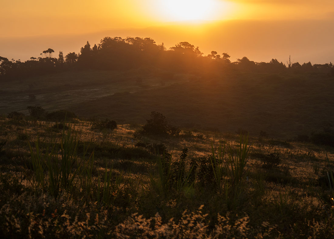 KZN Dolphin Coast Developments, property developer in Ballito, Northern KwaZulu-Natal, KwaZulu-Natal, South Africa KZN Dolphin Coast Developmentsproperty developer in Ballito, Northern KwaZulu-Natal, KwaZulu-Natal, South Africa