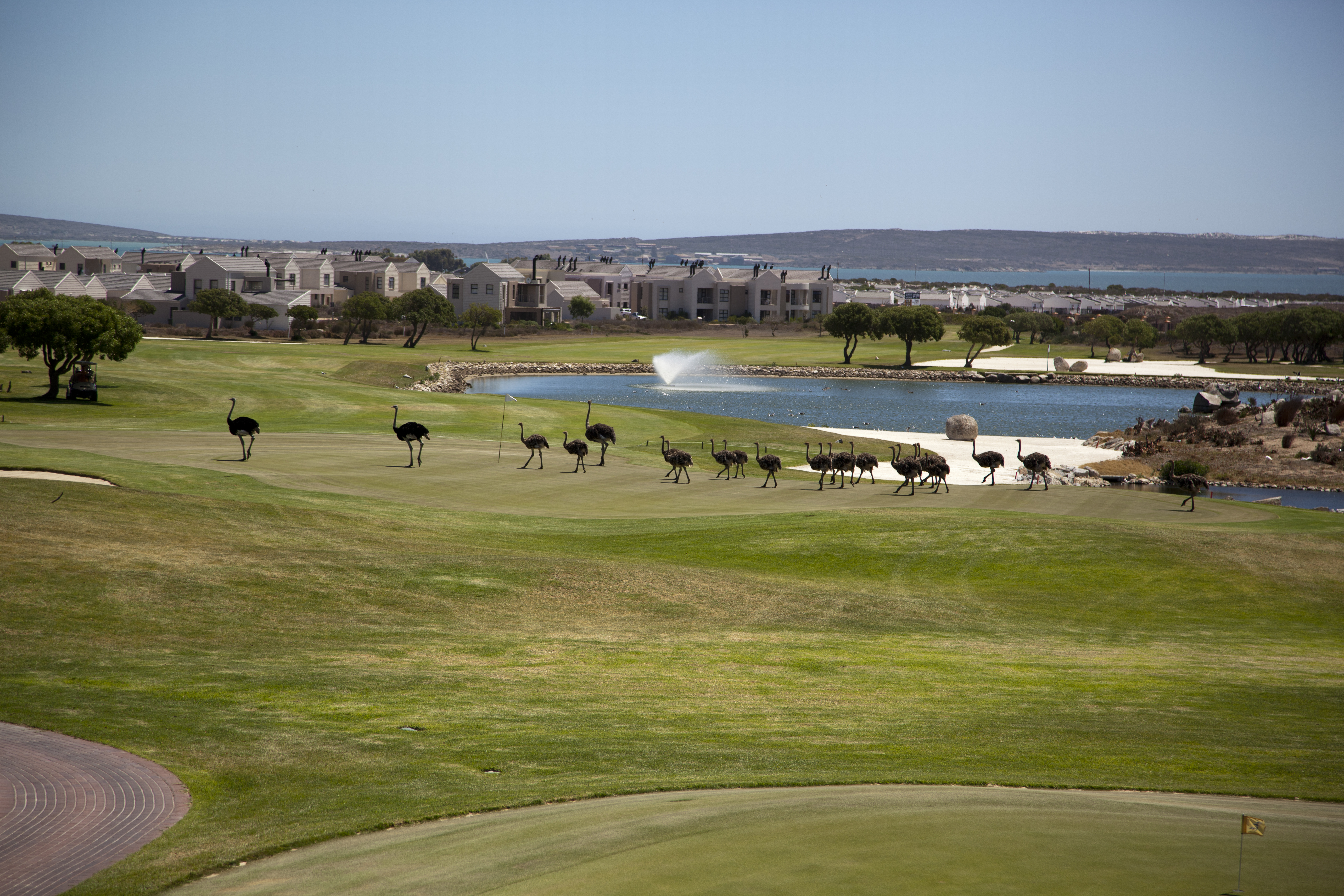 Le Juille, new build development in West Coast, Western Cape, South Africa Le Juille, new build development in West Coast, Western Cape, South Africa