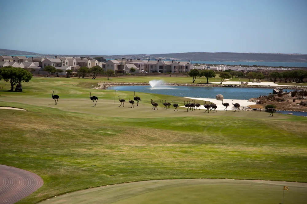 Le Juille in West Coast, South Africa Le Juille in West Coast, South Africa
