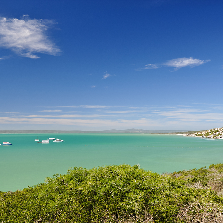 Le Juille - About this Area Le Juille - About this Area