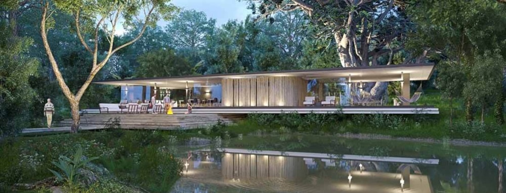 The Vineyards in Elaleni Coastal Forest Estate, South Africa The Vineyards in Elaleni Coastal Forest Estate, South Africa