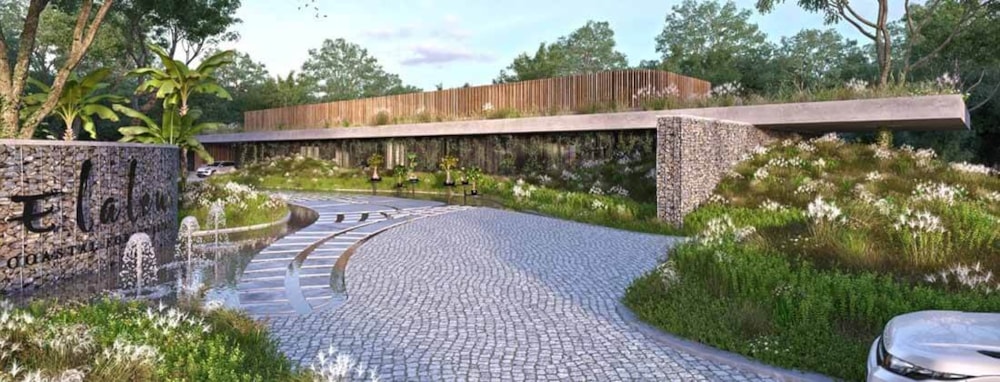 The Vineyards in Elaleni Coastal Forest Estate, South Africa The Vineyards in Elaleni Coastal Forest Estate, South Africa