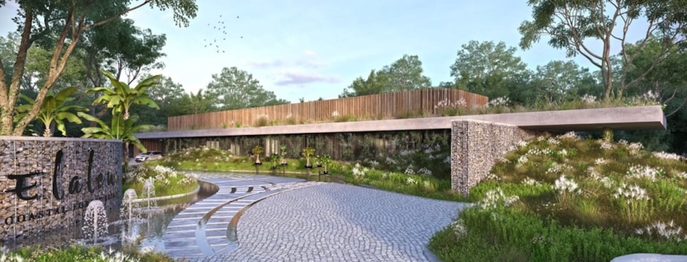 The Vineyards in Elaleni Coastal Forest Estate, South Africa The Vineyards in Elaleni Coastal Forest Estate, South Africa