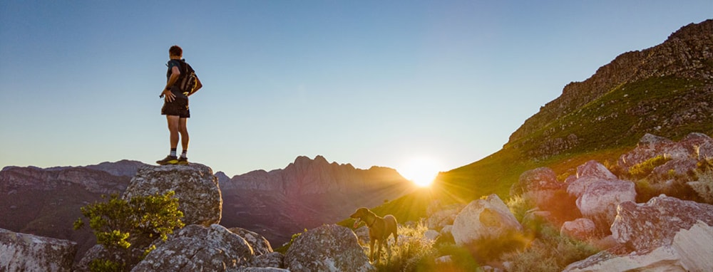 Oakview Boutique Estate  in Stellenbosch, South Africa