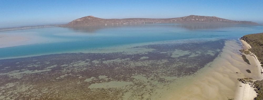 Shark Bay Estate in Langebaan, South Africa Shark Bay Estate in Langebaan, South Africa