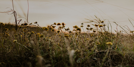 Bahari Bay - Guide Bahari Bay - Guide