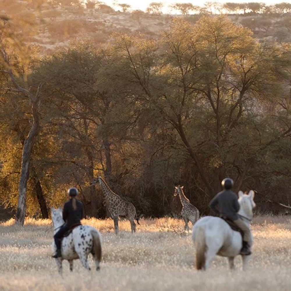 Sandwerf Equine and Nature Estate in Namibia Sandwerf Equine and Nature Estate in Namibia