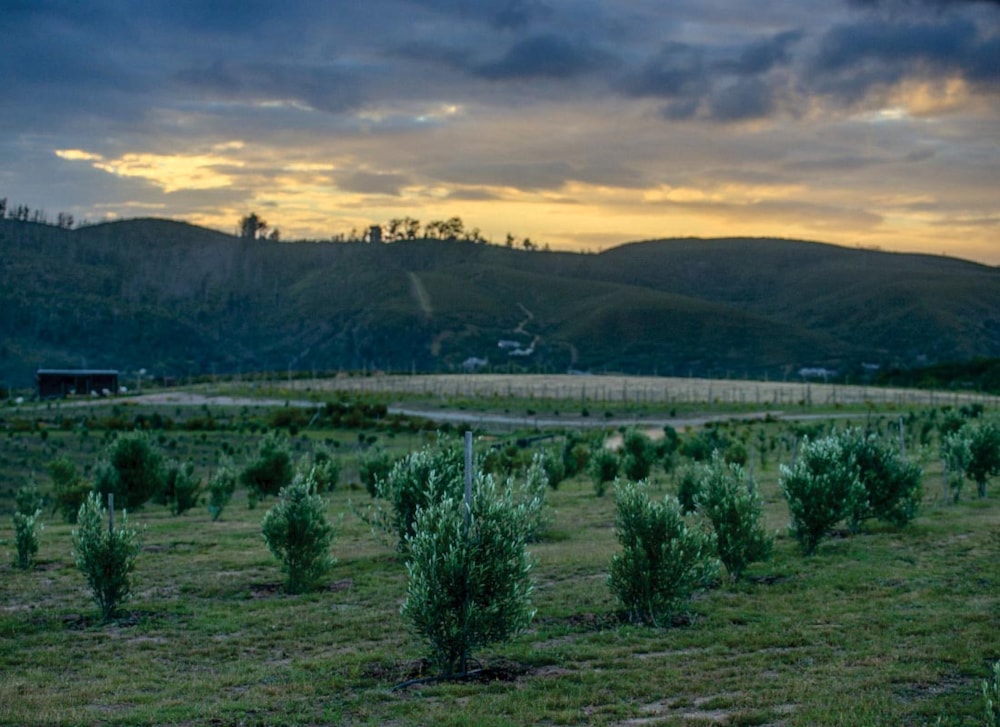 Entabeni Urban Farm in Welbedacht, South Africa