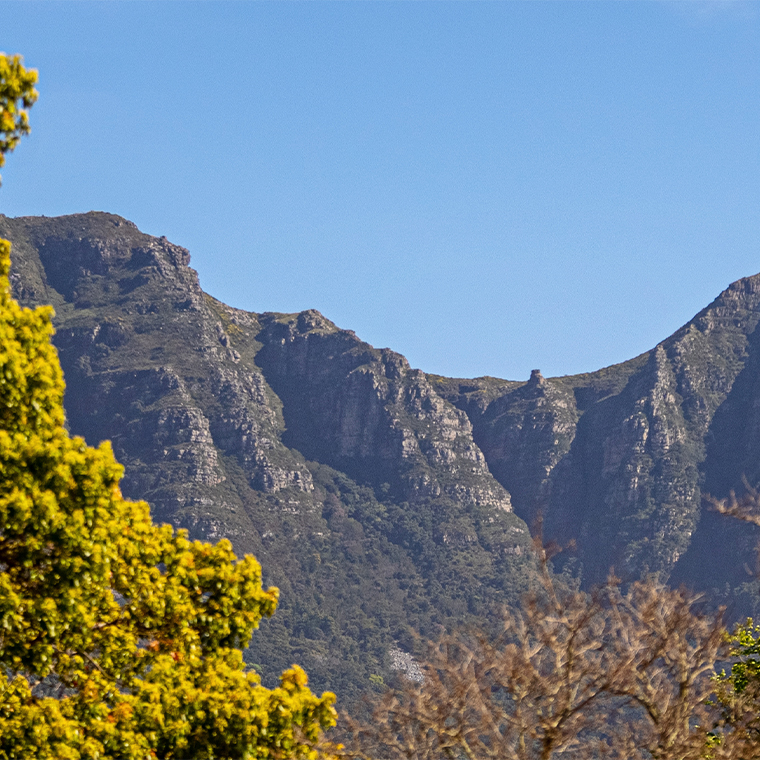 Greenways Estate - Upper Claremont's Hen-and-Chicken Precinct