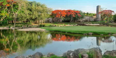 Mont Choisy La Réserve - Peter Matkovich Mont Choisy La Réserve - Peter Matkovich