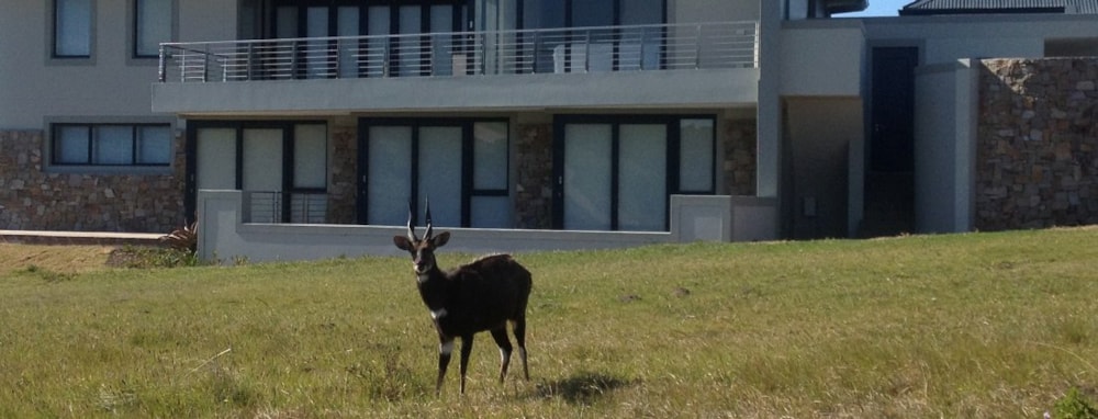 Kenton Eco Estate in Kenton Eco Estate, South Africa Kenton Eco Estate in Kenton Eco Estate, South Africa