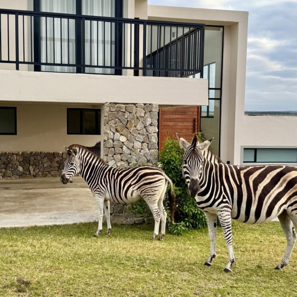 Kenton Eco Estate in Kenton Eco Estate, South Africa Kenton Eco Estate in Kenton Eco Estate, South Africa