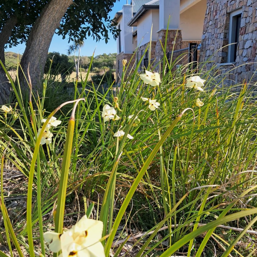 Kenton Eco Estate in Kenton Eco Estate, South Africa Kenton Eco Estate in Kenton Eco Estate, South Africa
