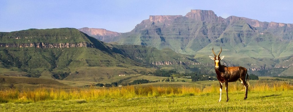 Cathkin Estate in Drakensberg, South Africa Cathkin Estate in Drakensberg, South Africa