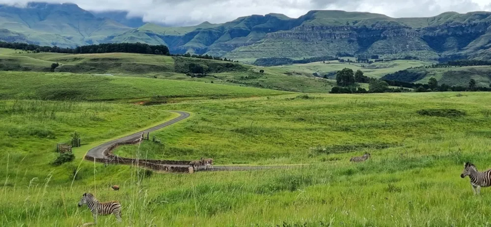 Cathkin Estate in Drakensberg, South Africa Cathkin Estate in Drakensberg, South Africa