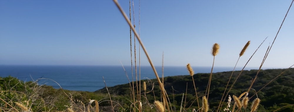 Breaker Point in Dana Bay, South Africa Breaker Point in Dana Bay, South Africa