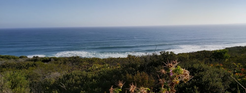 Breaker Point in Dana Bay, South Africa Breaker Point in Dana Bay, South Africa