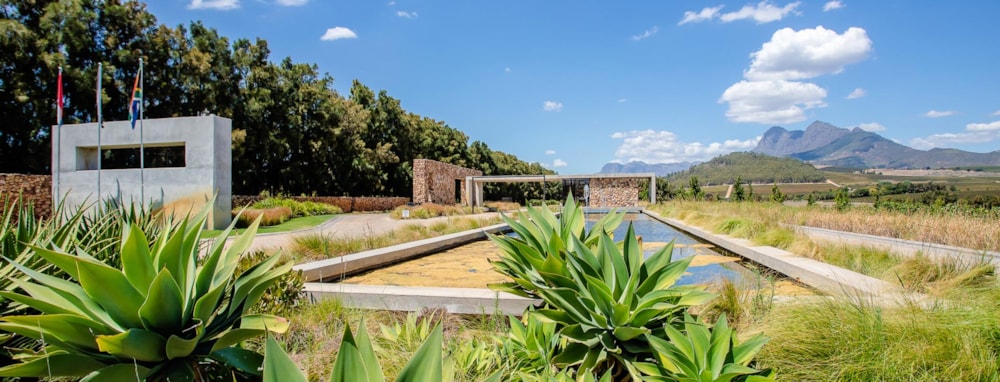 Vini Fera - Anura in Stellenbosch, South Africa