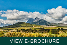 Vini Fera - Anura - E-brochure Vini Fera - Anura - E-brochure