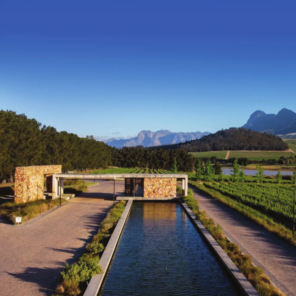 Vini Fera - Anura in Stellenbosch, South Africa Vini Fera - Anura in Stellenbosch, South Africa