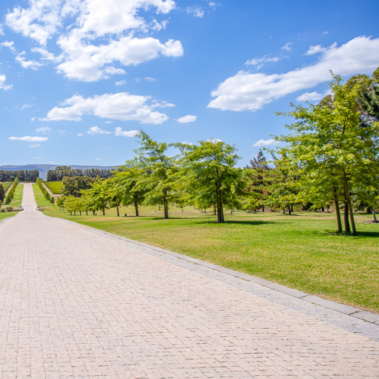 Vini Fera - Anura - Site Plan