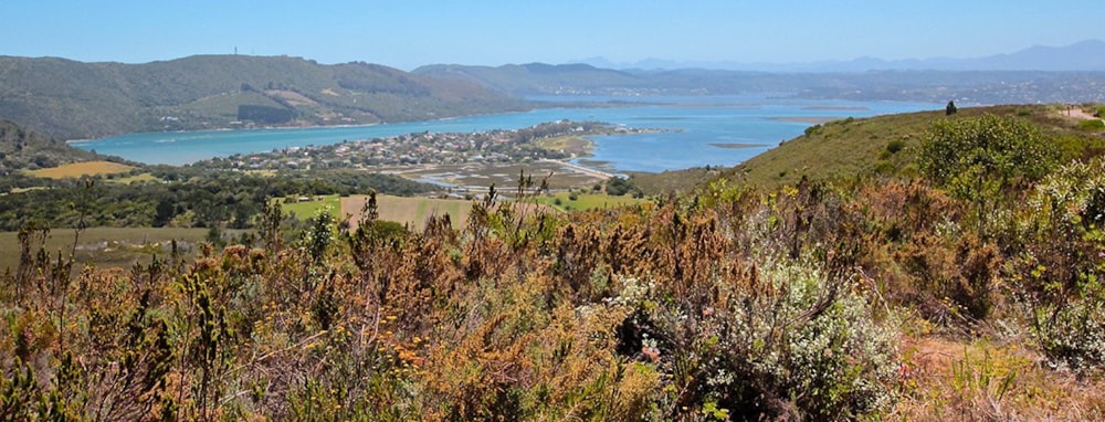 Fernwood Private Estate in Fernwood, South Africa