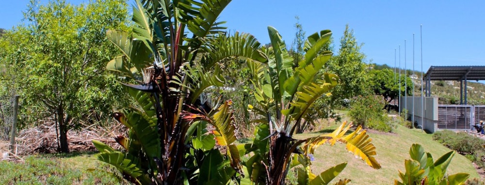 Fernwood Private Estate in Fernwood, South Africa