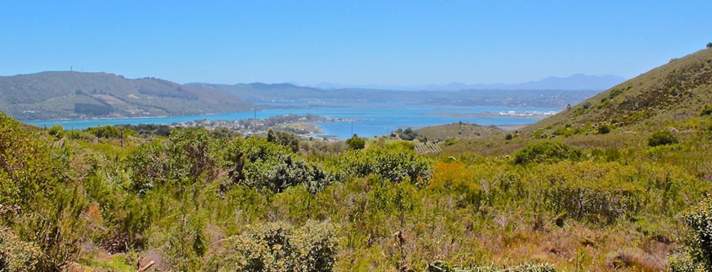 Fernwood Private Estate in Fernwood, South Africa